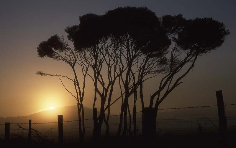 WT 078-07 Australia Tassie Sunrise.jpg